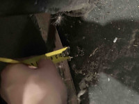Вила для вузькопрохідного вилкового автонавантажувача. (8)